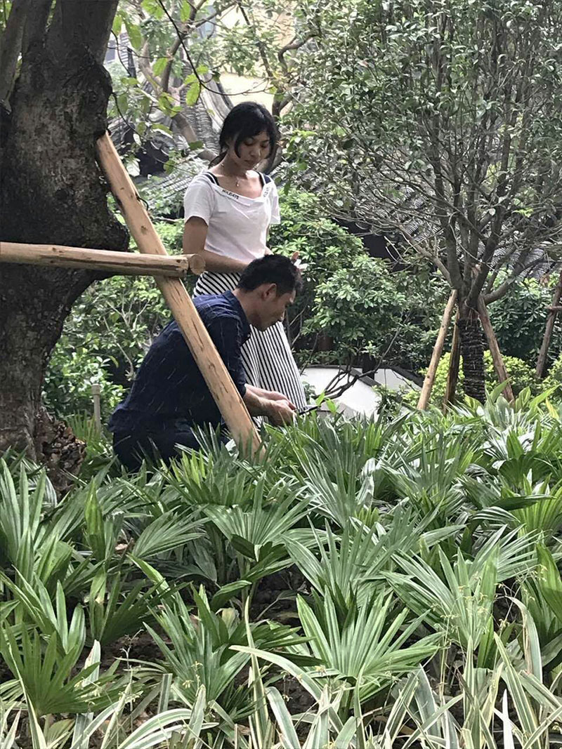 微信圖片_20170511085846